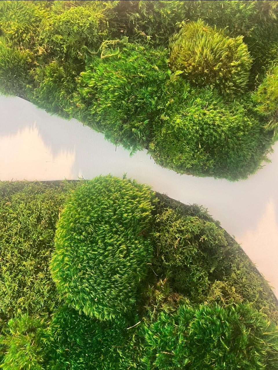 Large Modern Moss Wall Art