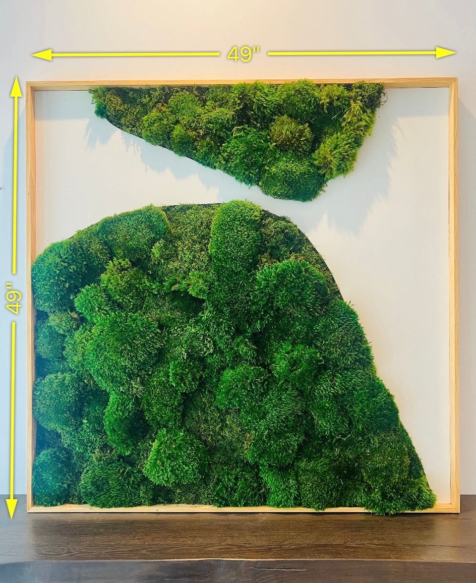 Large Modern Moss Wall Art
