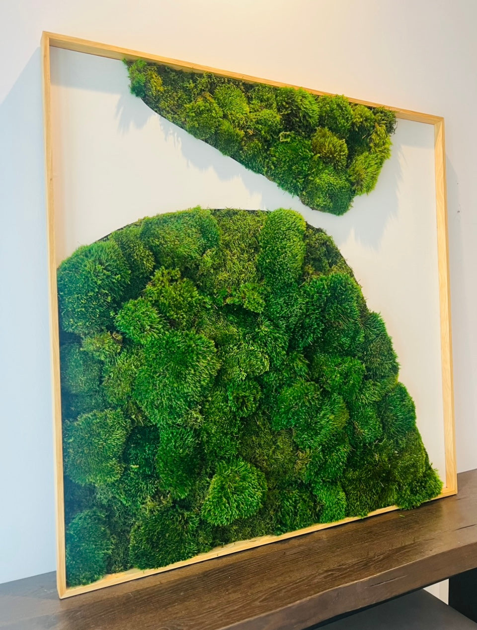 Large Modern Moss Wall Art