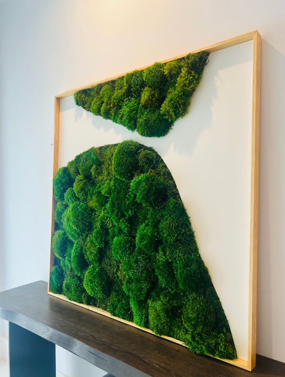 Large Modern Moss Wall Art